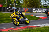 Lower Group Yellow Bikes